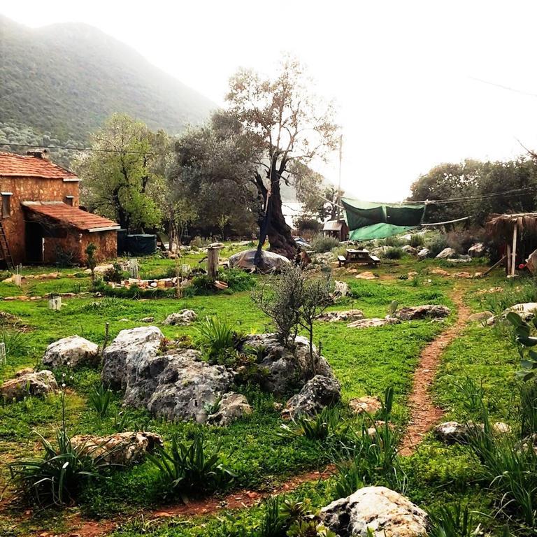 Hiker'S Inn-Purple House Kaleucagız 외부 사진